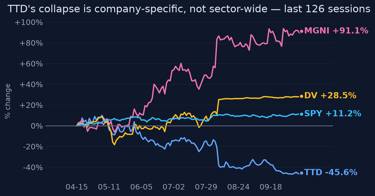 TTD's collapse is company-specific, not sector-wide